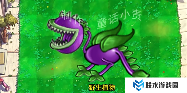 植物大战僵尸结合版