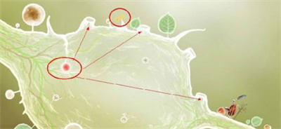 植物精灵手机版