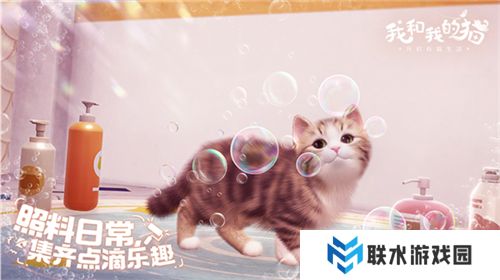 我和我的猫