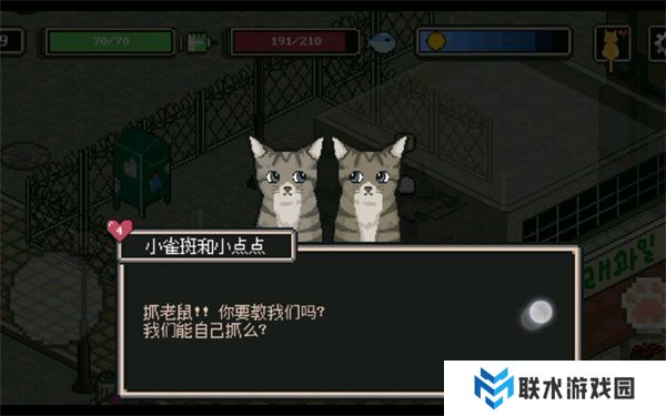 流浪猫的故事