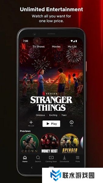 网飞netflix