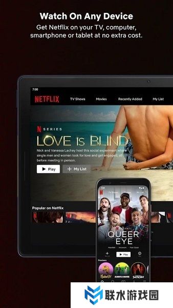 网飞netflix