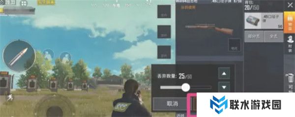 PUBG2025截图